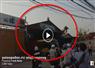 Camnews