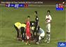 Camnews