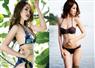 Camnews