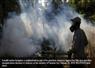 Camnews