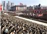Camnews