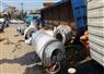 Camnews