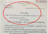 Camnews