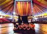 Camnews