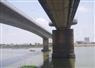 Camnews