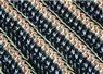 Camnews