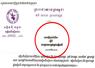 Camnews