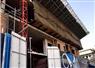 Camnews