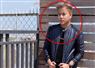 Camnews
