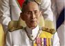 Camnews
