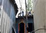 Camnews