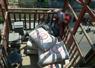 Camnews