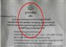 Camnews