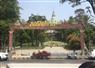 Camnews