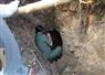 Camnews