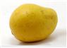 Camnews