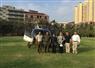 Camnews