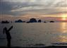 Camnews