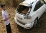 Camnews