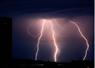 Camnews