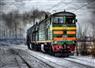 Camnews