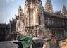 Camnews
