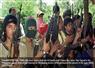 Camnews