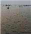 Camnews