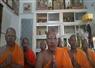 Camnews