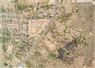 Camnews