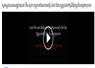 Camnews