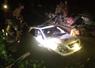 Camnews