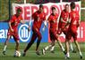 Camnews