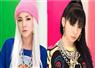 Camnews