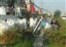 Camnews