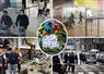 Camnews