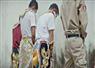 Camnews