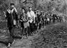 Camnews