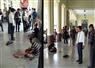 Camnews
