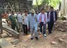 Camnews