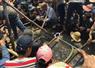 Camnews