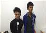 Camnews