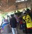 Camnews