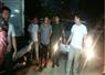 Camnews