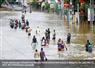 Camnews