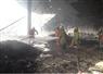 Camnews