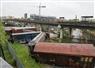 Camnews