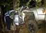 Camnews