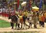 Camnews
