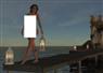 Camnews